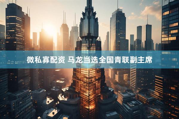 微私寡配资 马龙当选全国青联副主席