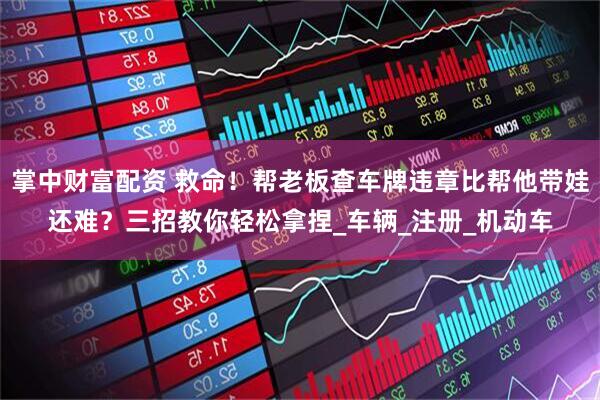掌中财富配资 救命！帮老板查车牌违章比帮他带娃还难？三招教你轻松拿捏_车辆_注册_机动车
