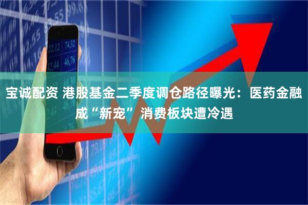 宝诚配资 港股基金二季度调仓路径曝光：医药金融成“新宠” 消费板块遭冷遇