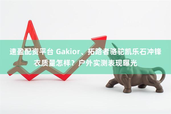 速盈配资平台 Gakior、拓路者骆驼凯乐石冲锋衣质量怎样？户外实测表现曝光
