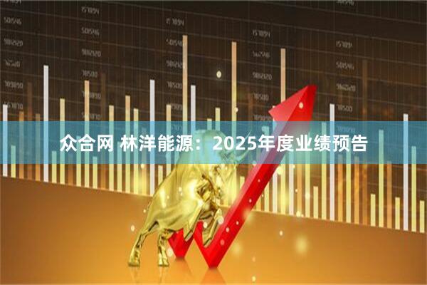 众合网 林洋能源：2025年度业绩预告