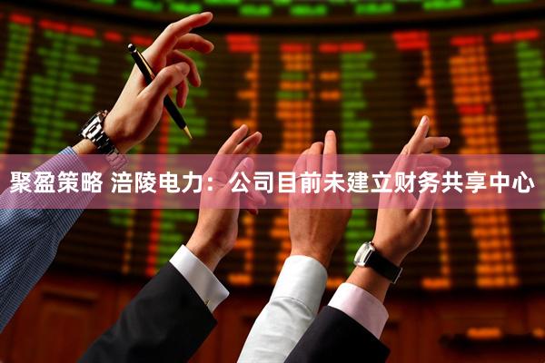 聚盈策略 涪陵电力：公司目前未建立财务共享中心